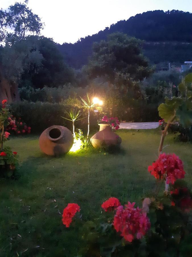 Nostos Studios Golden Beach Chrisi Ammoudia Eksteriør billede