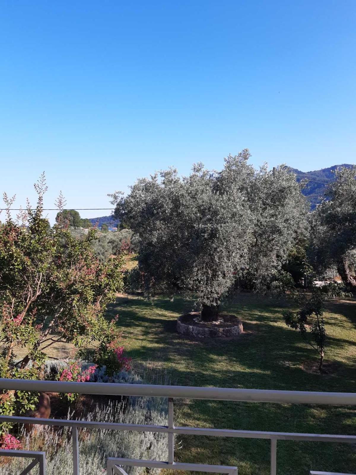Nostos Studios Golden Beach Chrisi Ammoudia Værelse billede