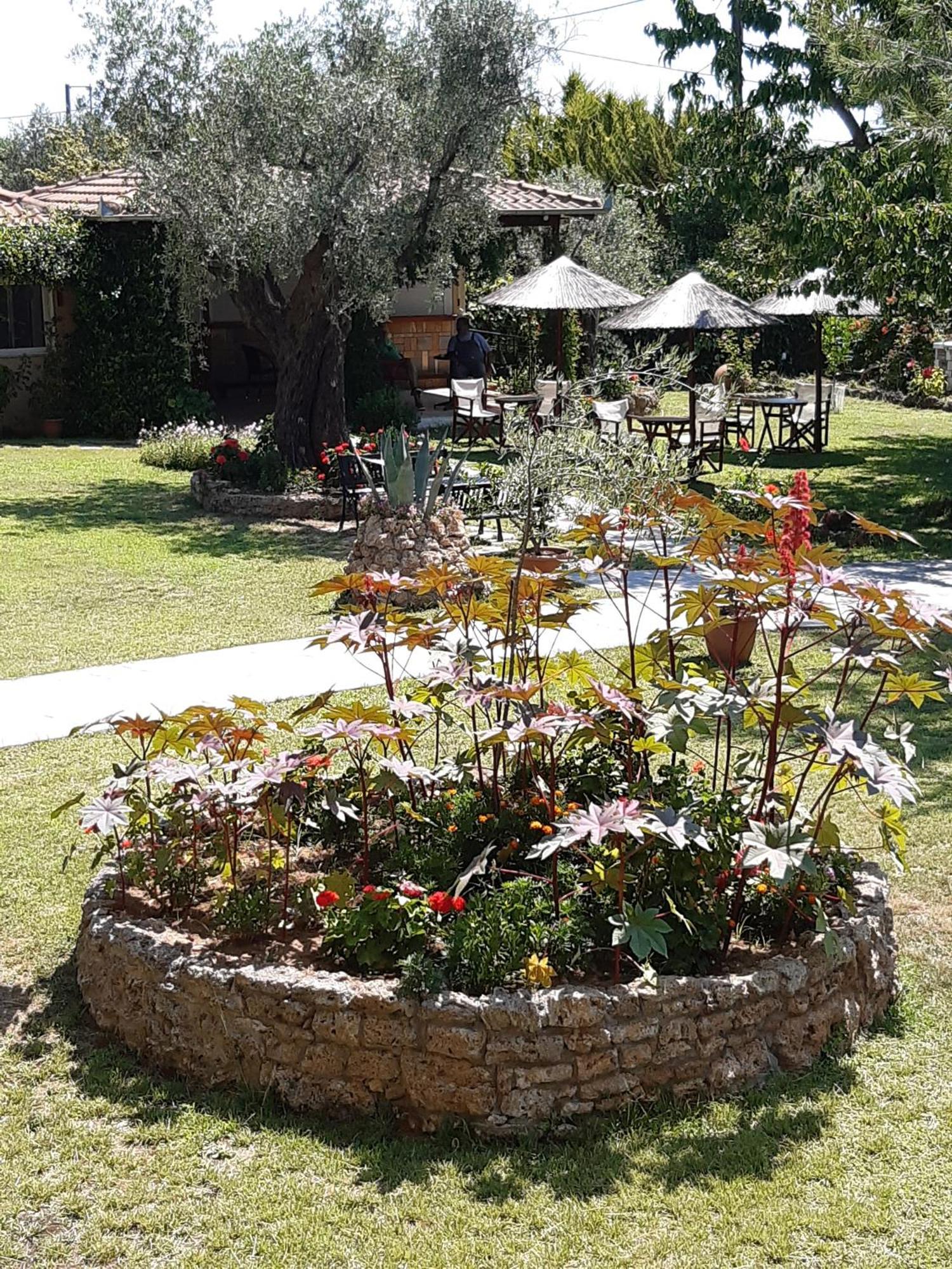 Nostos Studios Golden Beach Chrisi Ammoudia Værelse billede