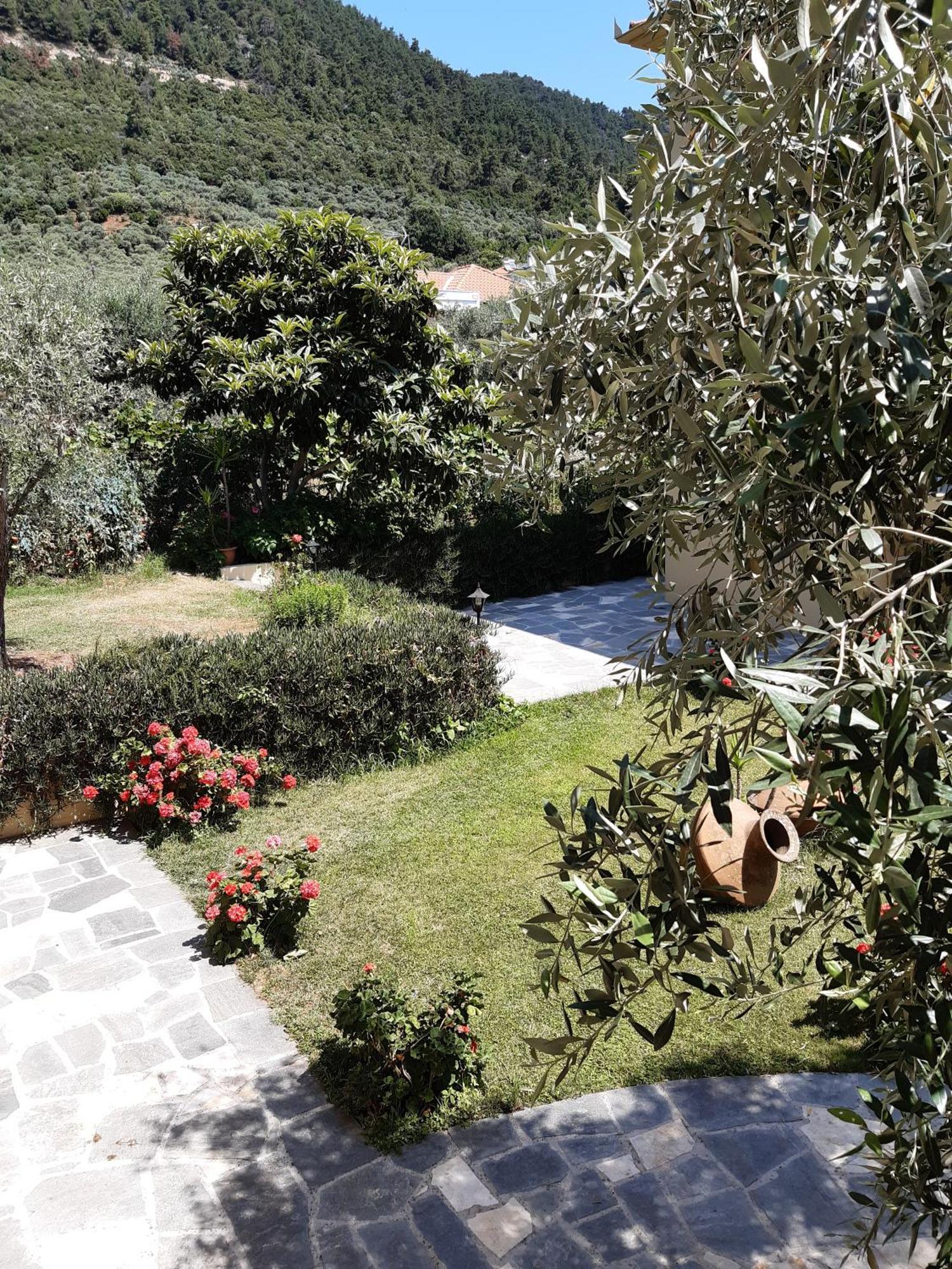 Nostos Studios Golden Beach Chrisi Ammoudia Værelse billede